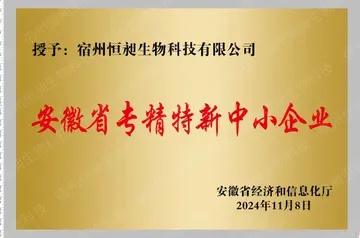 安徽省专精特新中小企业牌照